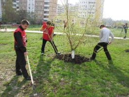 Белгородские комсомольцы провели Ленинский субботник